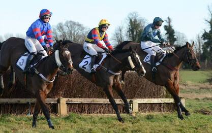 Horseheath Point to Point