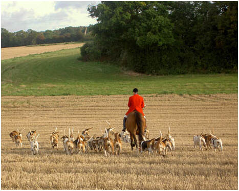 Hunstsman with Hounds